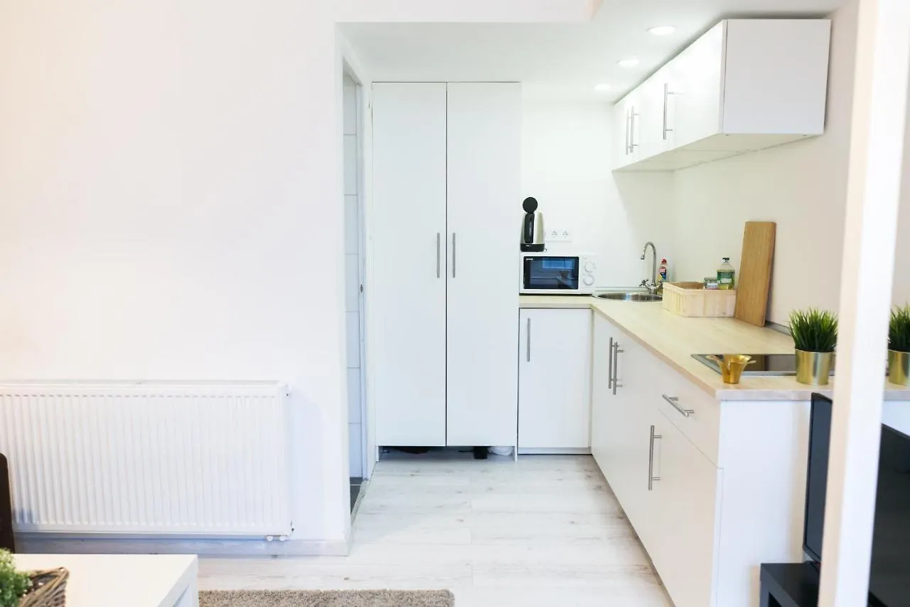 Venus Apartments - Dohany Street III Budapest